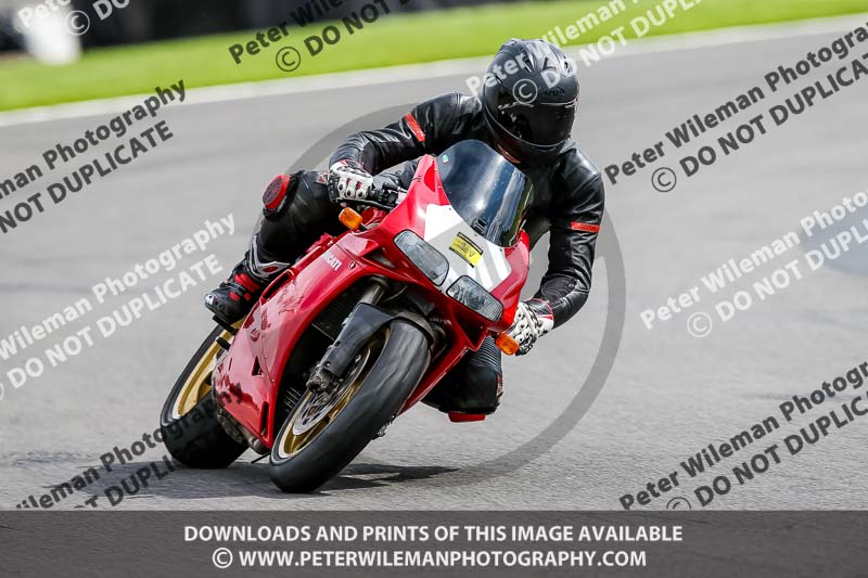 PJ Motorsport 2019;donington no limits trackday;donington park photographs;donington trackday photographs;no limits trackdays;peter wileman photography;trackday digital images;trackday photos